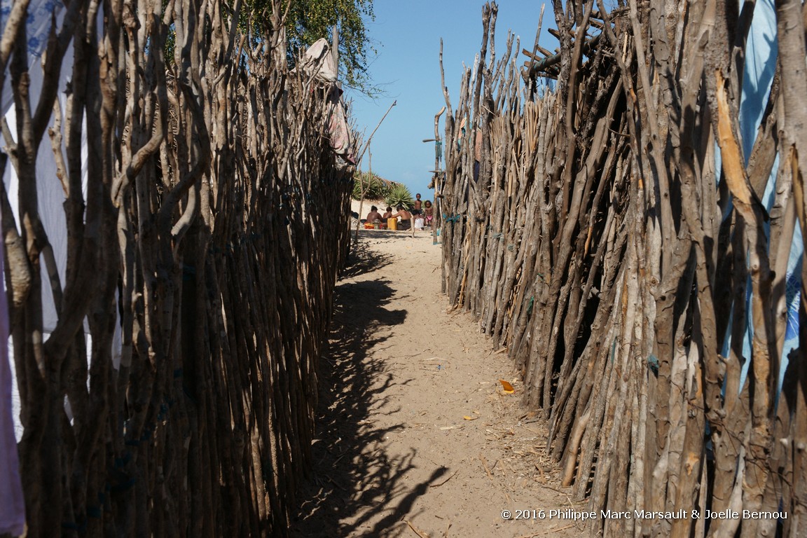 /ecran/Madagascar_2016_1124.jpg