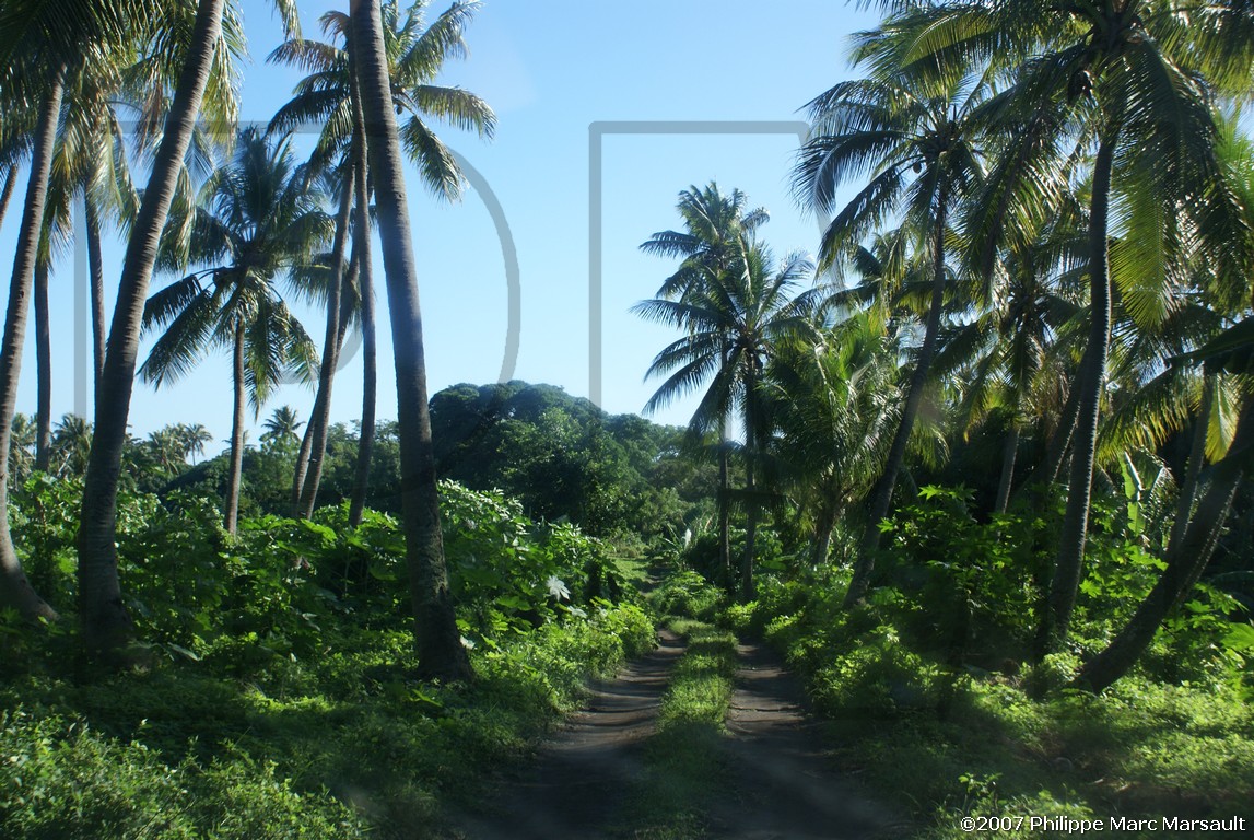 /ecran/Vanuatu_392.jpg