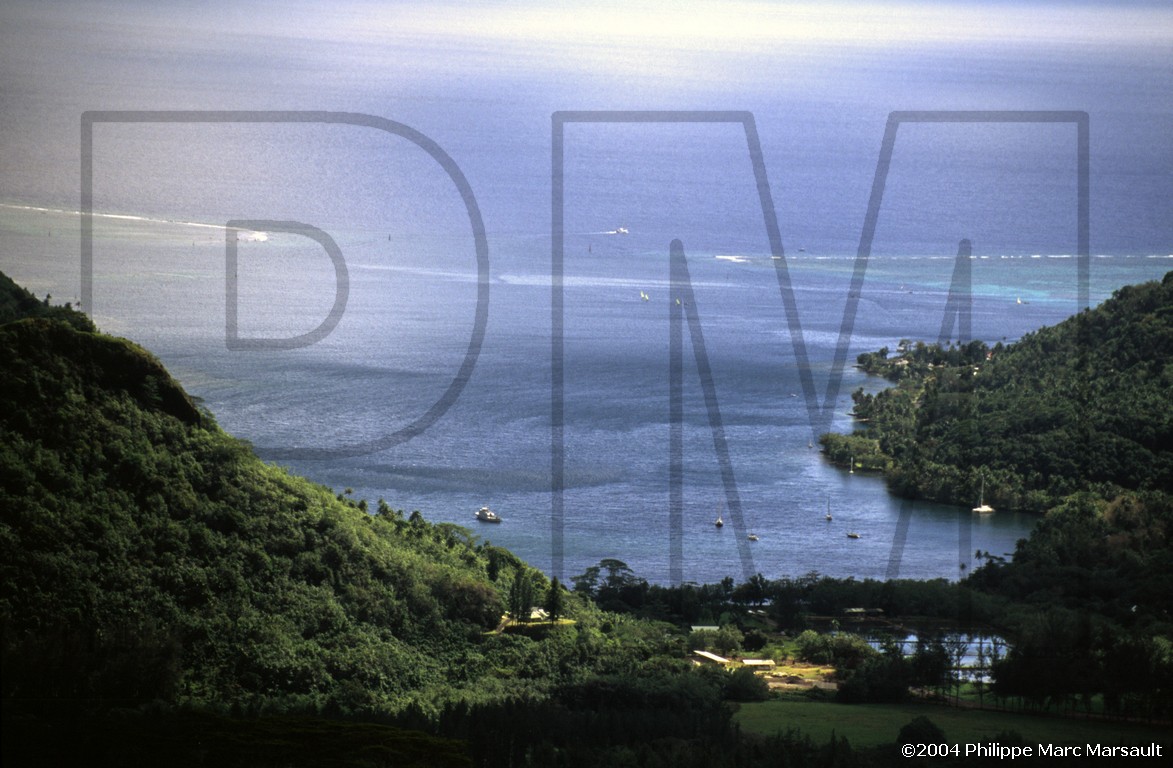 /ecran/D_polynesie_084.jpg