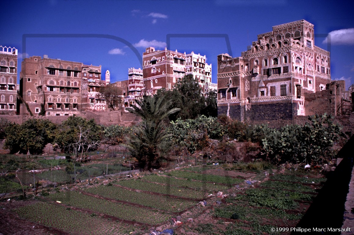 /ecran/Yemen_007.jpg