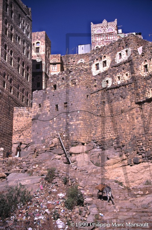 /ecran/Yemen_015.jpg