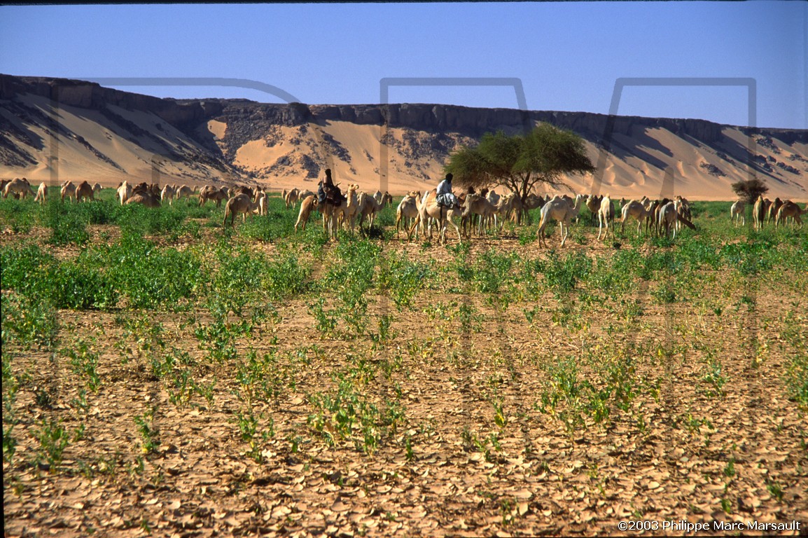 /ecran/algerie_hoggar_021.jpg