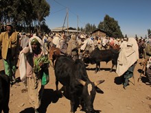 vignette Ethiopie_2014_1737.jpg 