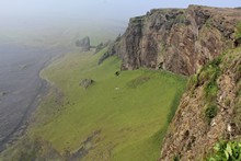 vignette Islande_0431.jpg 