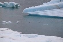 vignette Islande_1542.jpg 