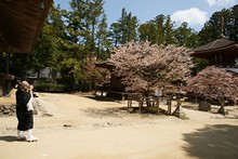 vignette Japon_2014_1053.jpg 