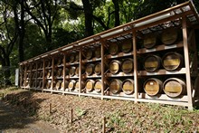 vignette Japon_2014_1824.jpg 