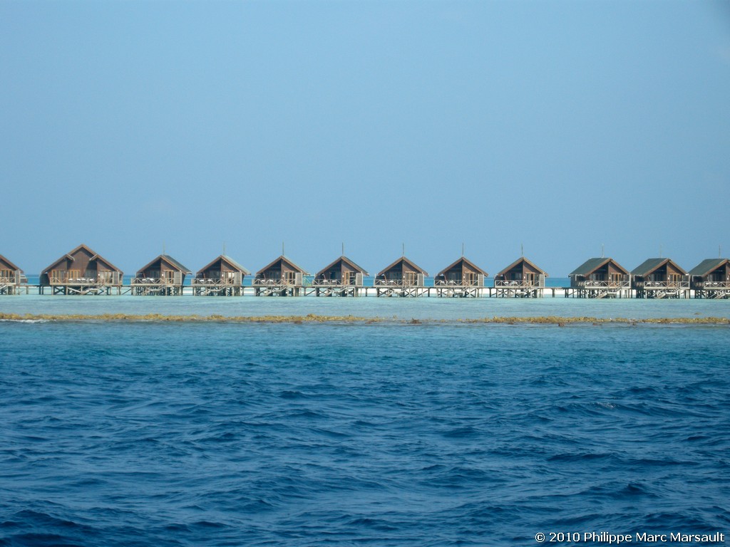 /ecran/Maldives_2010_401.jpg
