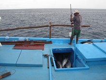 vignette Maldives_sud_0024.jpg 