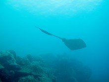 vignette Maldives_sud_0028.jpg 