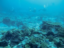 vignette Maldives_sud_0105.jpg 