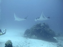 vignette Maldives_sud_0311.jpg 