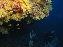 vignette Maldives_sud_0355.jpg 