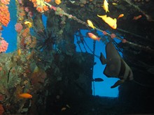 vignette Maldives_sud_0433.jpg 