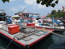 vignette Maldives_sud_0520.jpg 