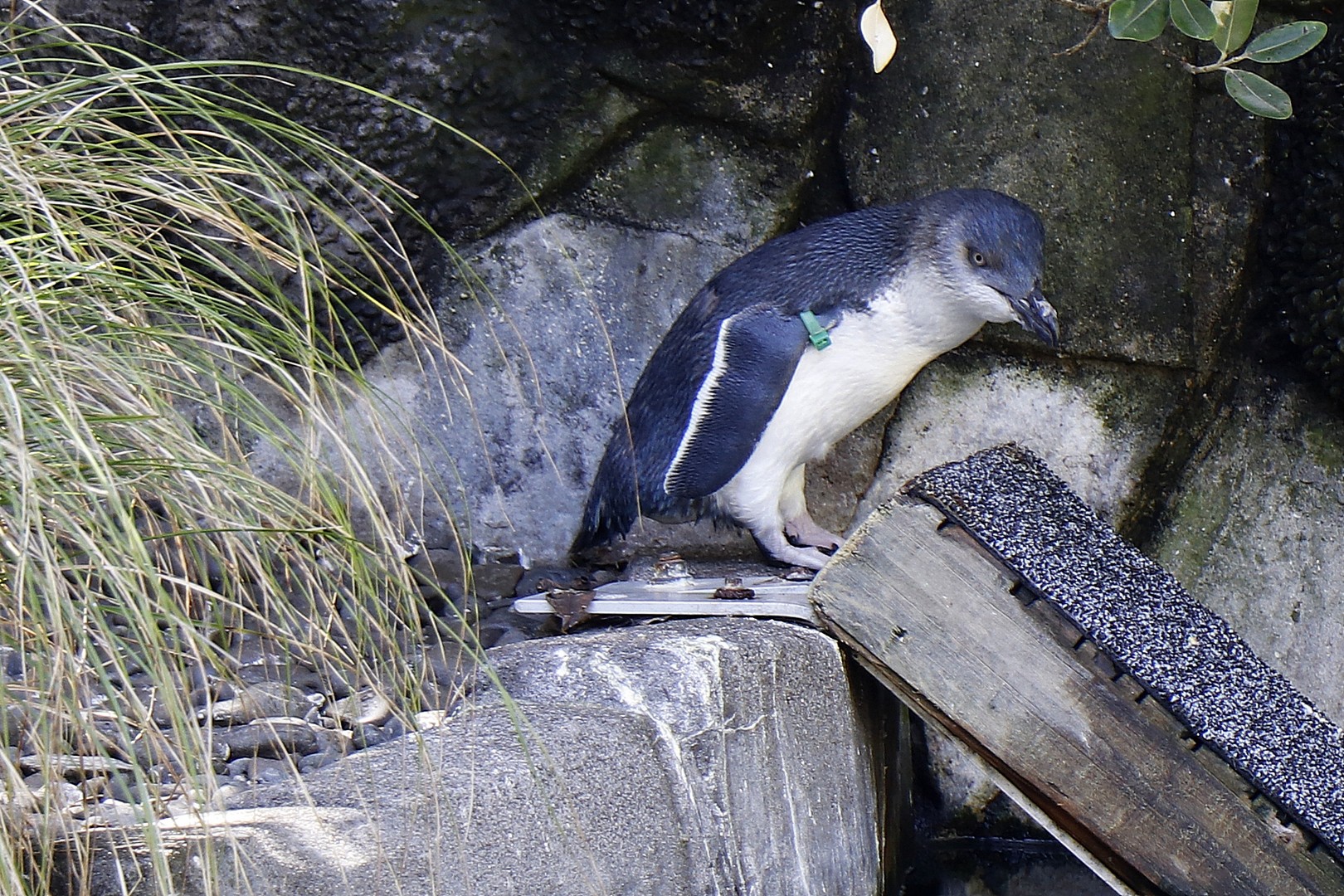 /ecran/2024_New-Zealand_0114.jpg