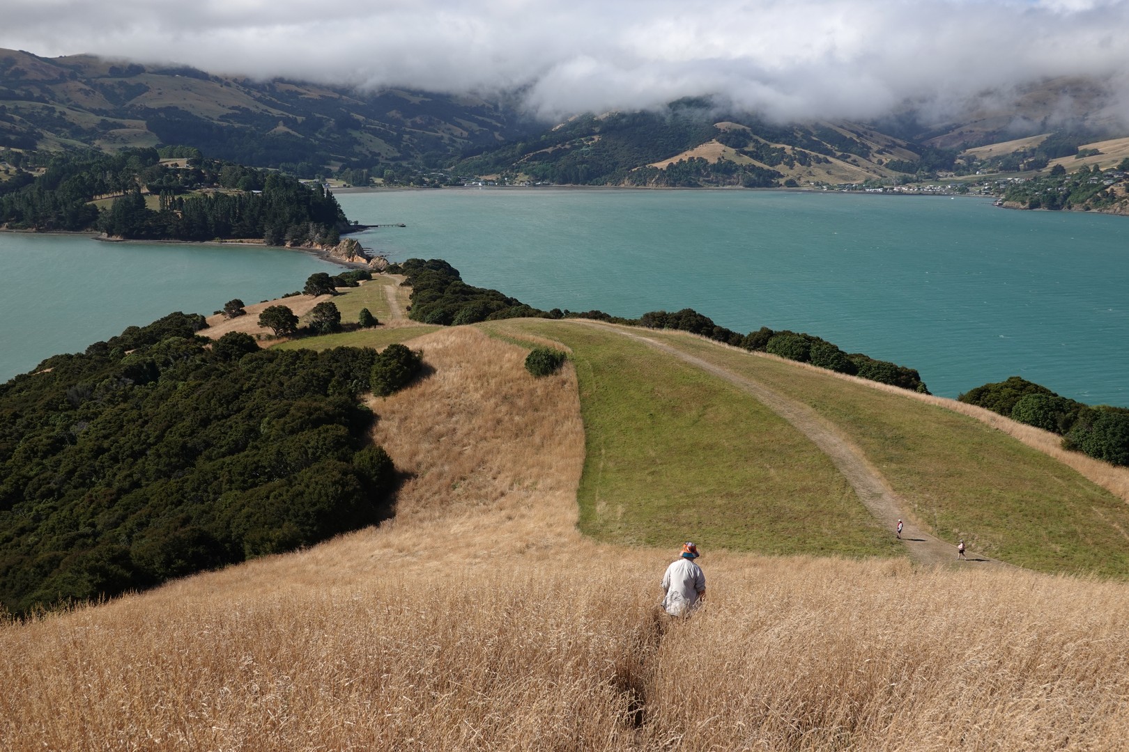 /ecran/2024_New-Zealand_0238.jpg