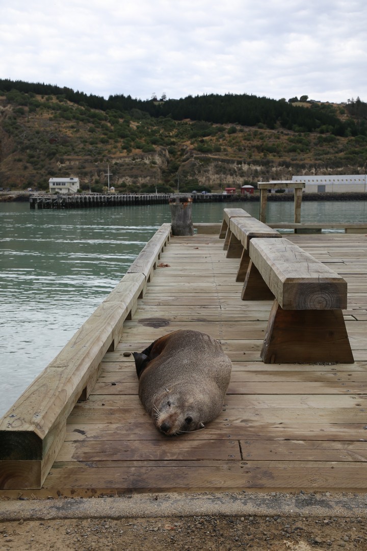 /ecran/2024_New-Zealand_0322.jpg