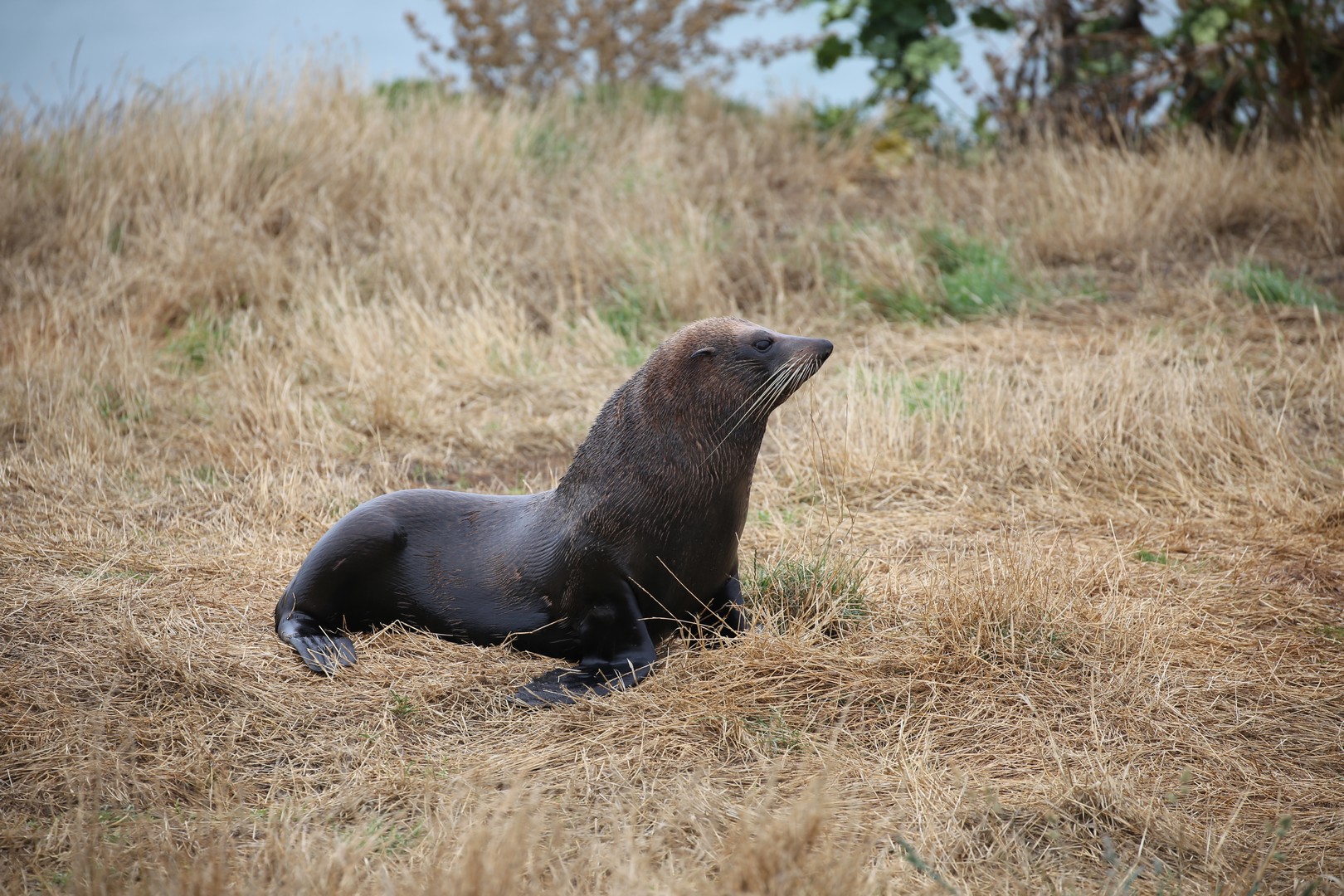 /ecran/2024_New-Zealand_0391.jpg