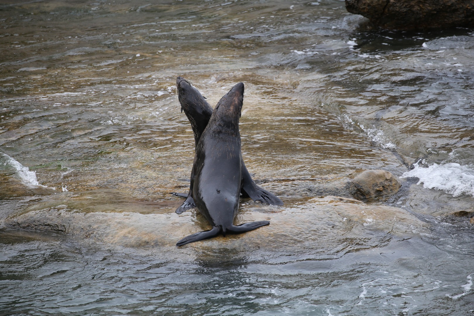 /ecran/2024_New-Zealand_0407.jpg