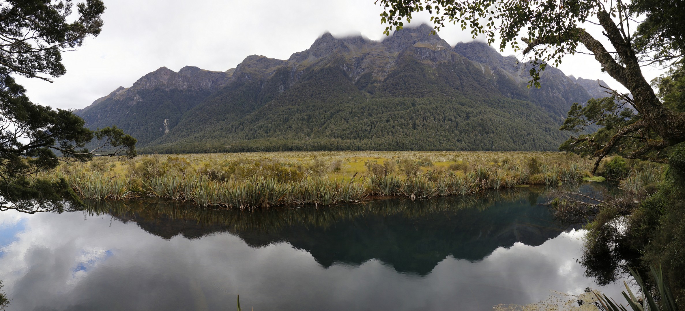 /ecran/2024_New-Zealand_0628.jpg