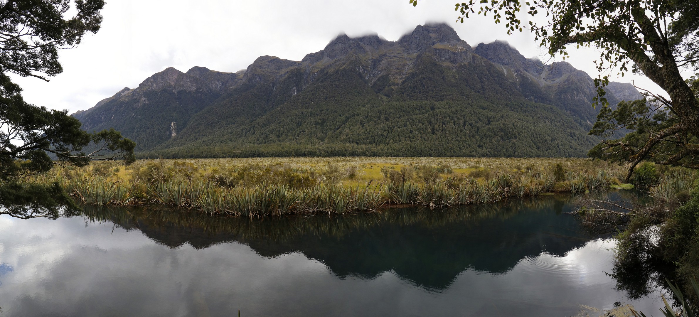 /ecran/2024_New-Zealand_0636.jpg