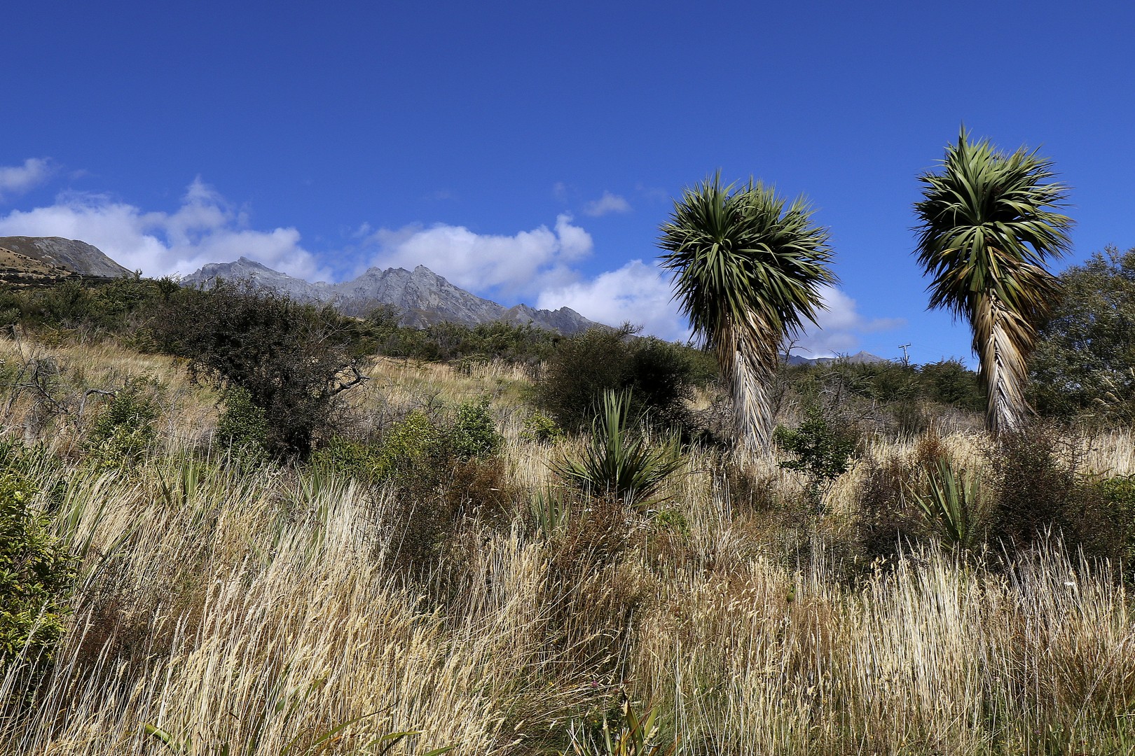 /ecran/2024_New-Zealand_0682.jpg