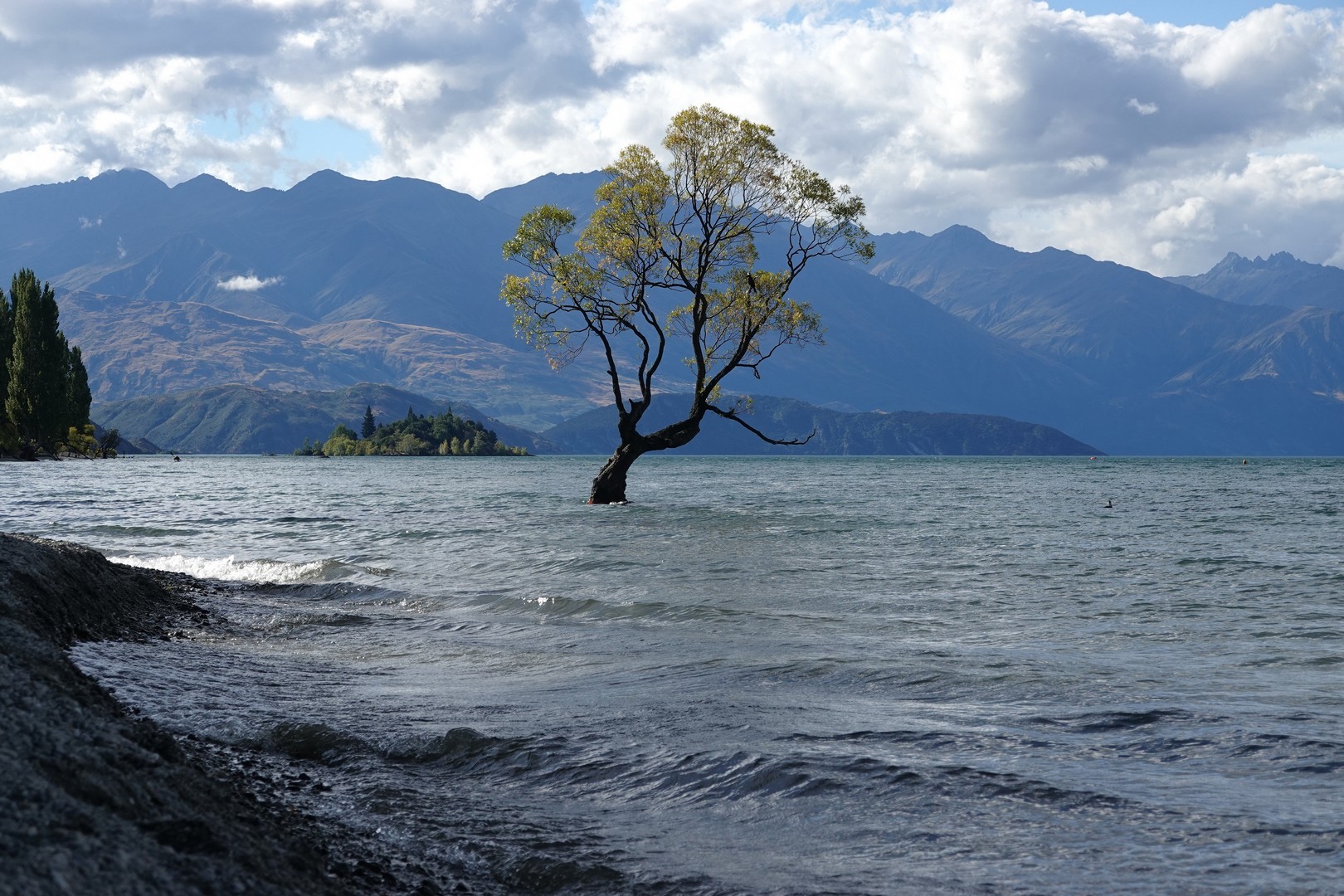 /ecran/2024_New-Zealand_0696.jpg