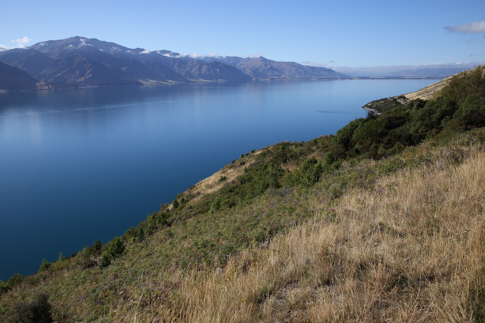 /ecran/2024_New-Zealand_0763.jpg