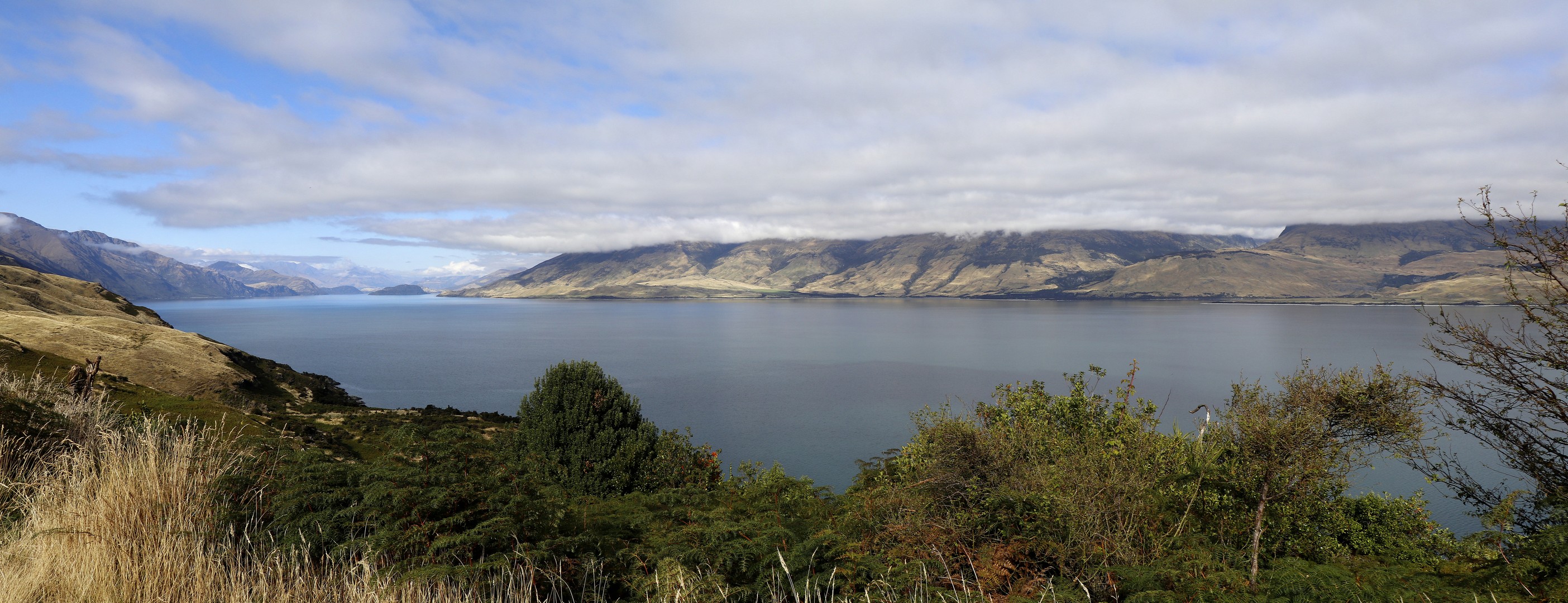 /ecran/2024_New-Zealand_0768.jpg