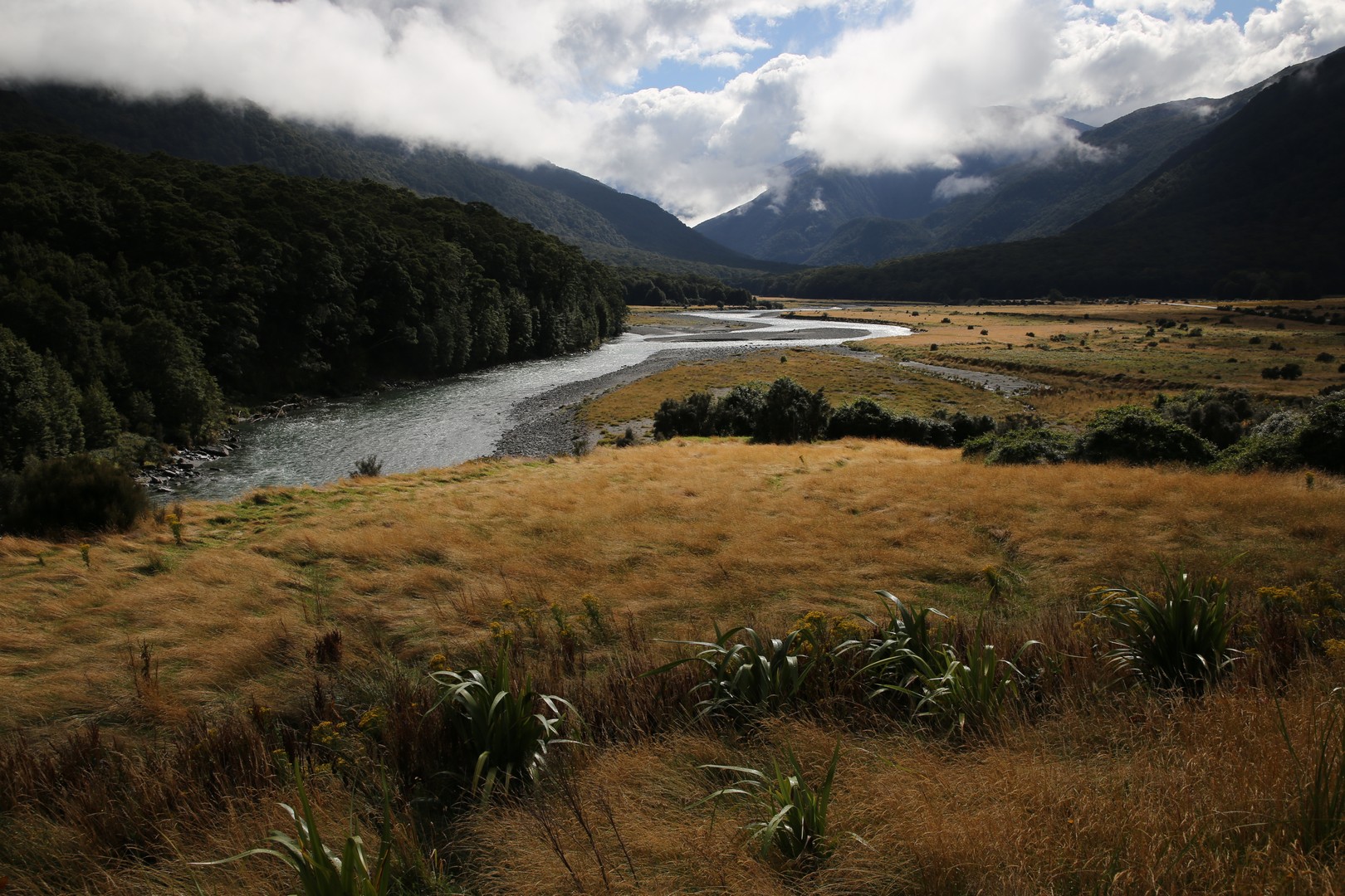 /ecran/2024_New-Zealand_0776.jpg