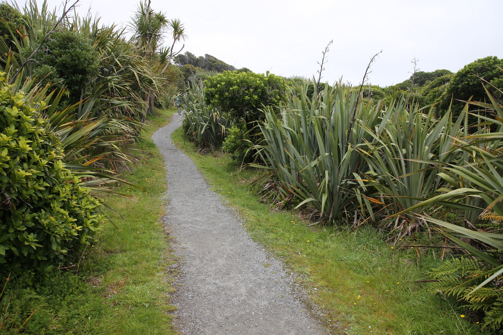 /ecran/2024_New-Zealand_0795.jpg