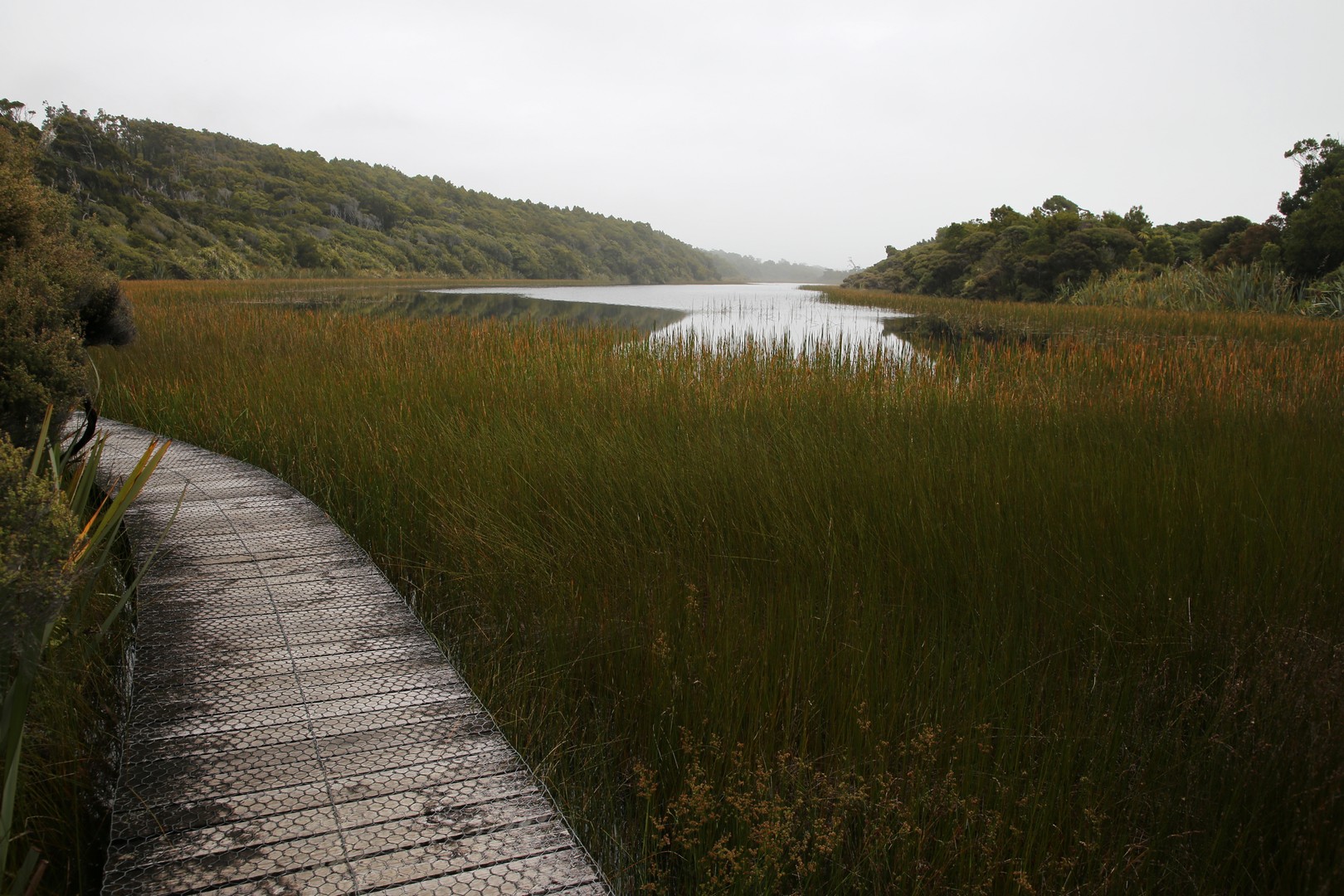 /ecran/2024_New-Zealand_0799.jpg