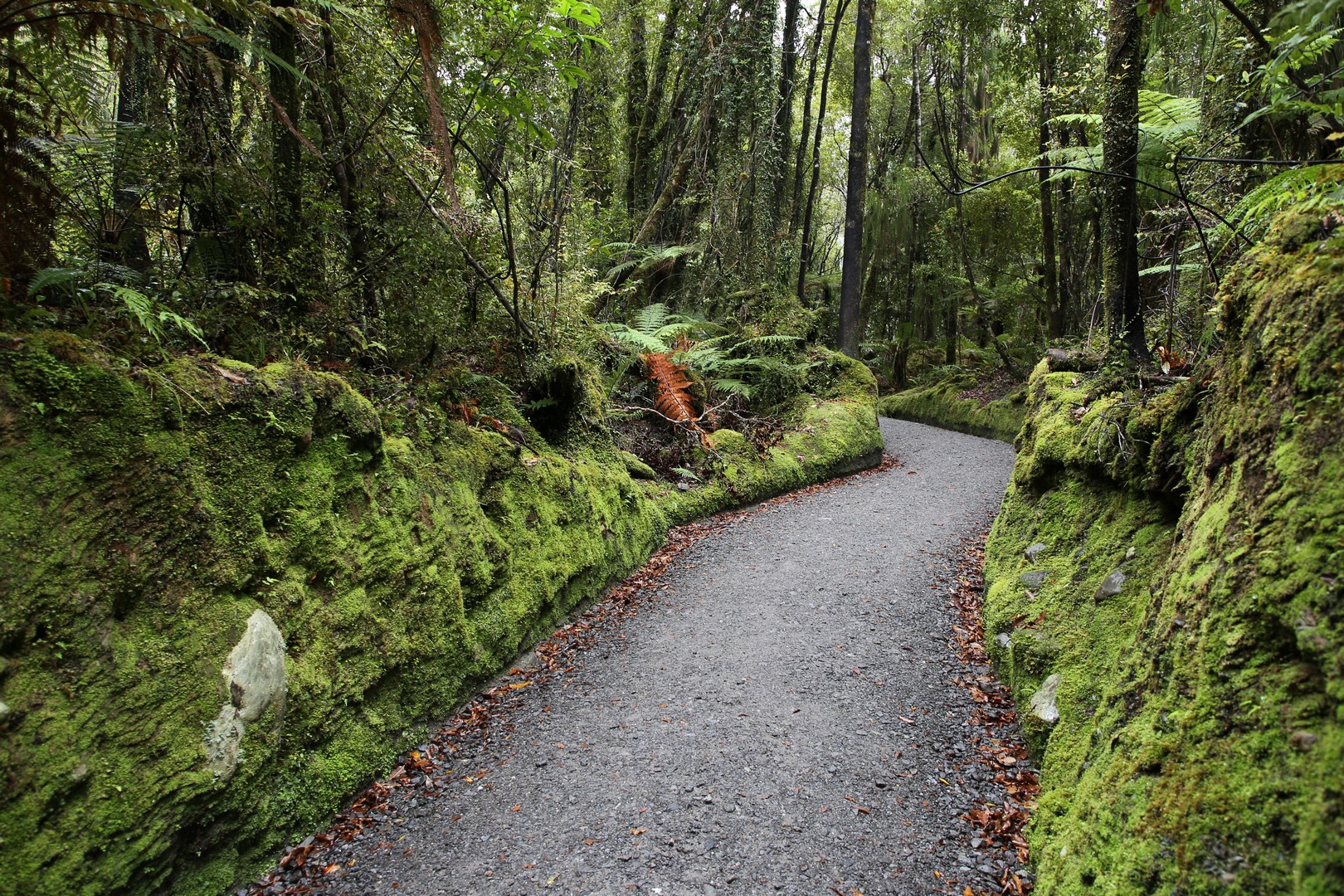 /ecran/2024_New-Zealand_0811.jpg