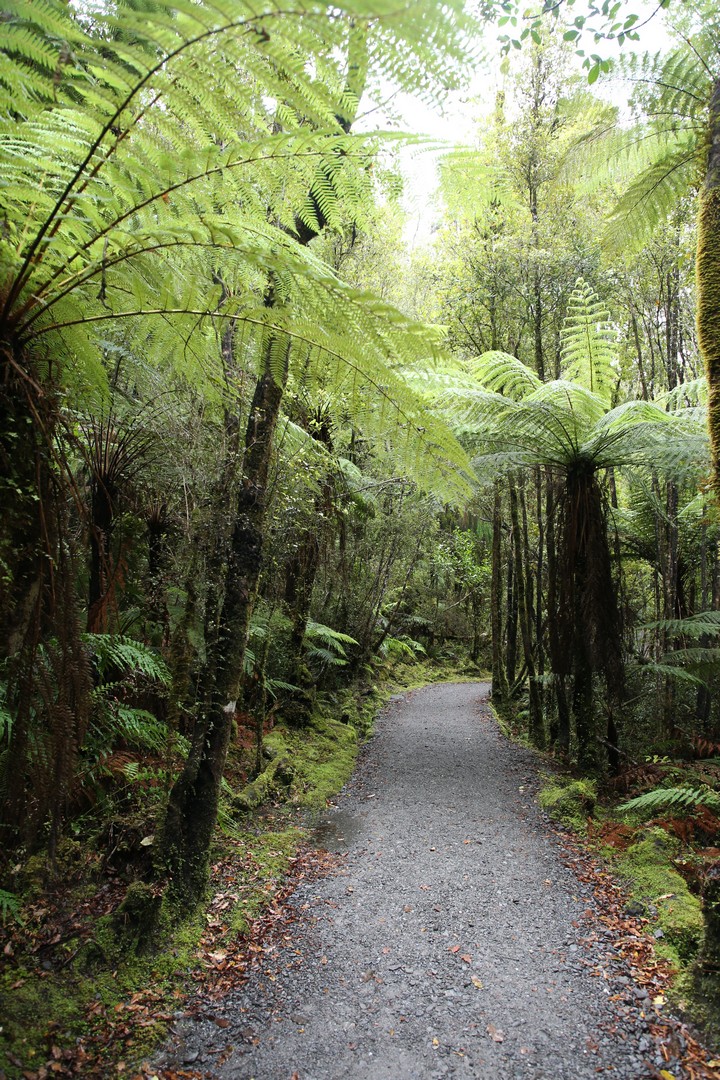 /ecran/2024_New-Zealand_0812.jpg