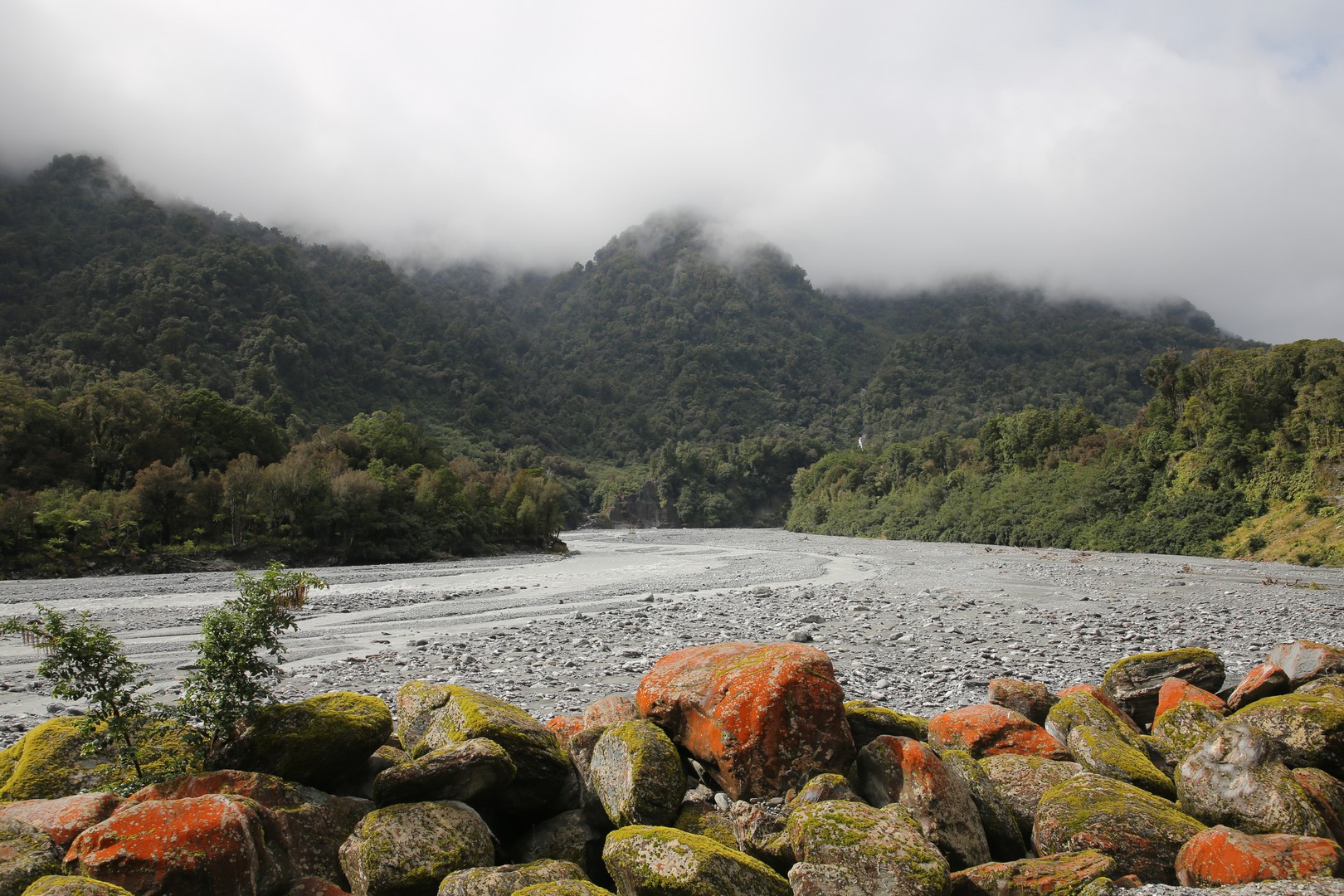 /ecran/2024_New-Zealand_0853.jpg