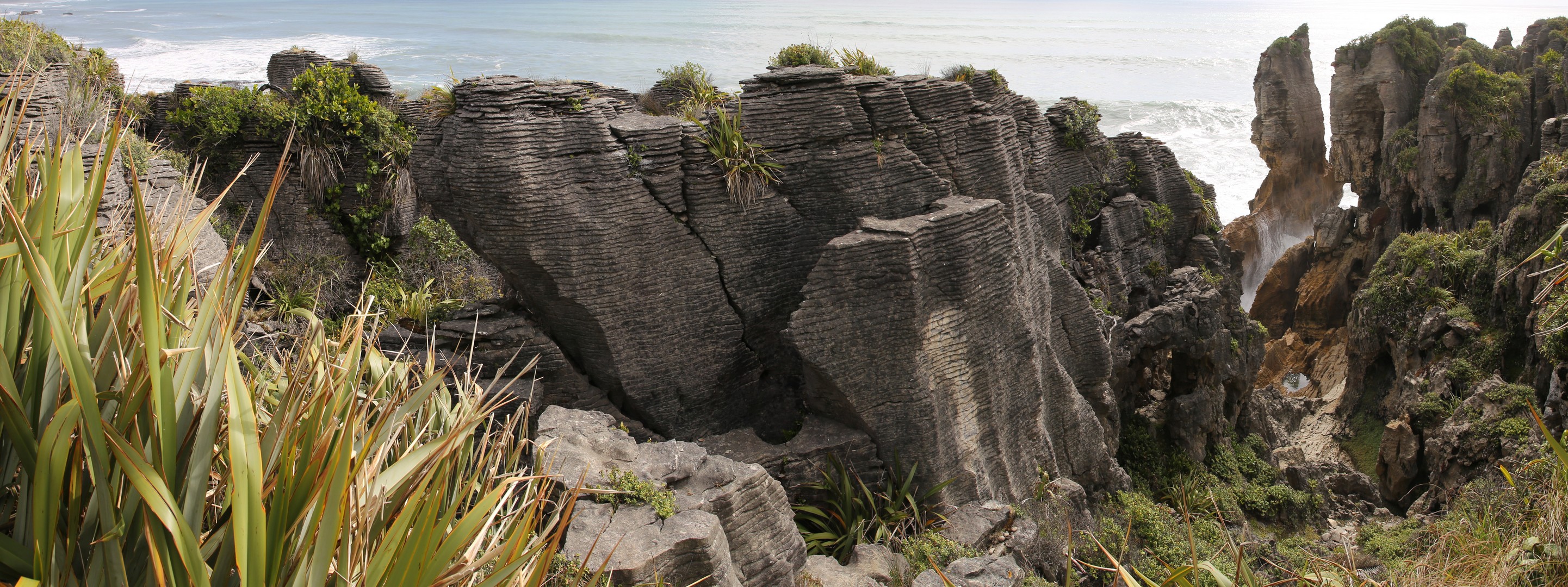 /ecran/2024_New-Zealand_0873.jpg