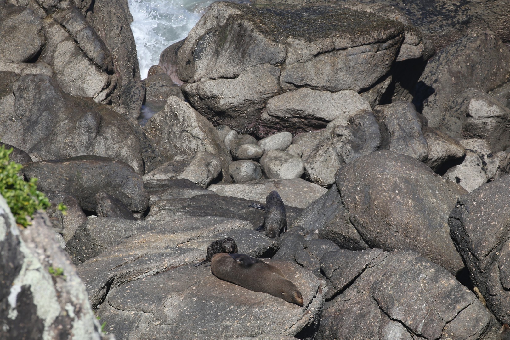 /ecran/2024_New-Zealand_0929.jpg