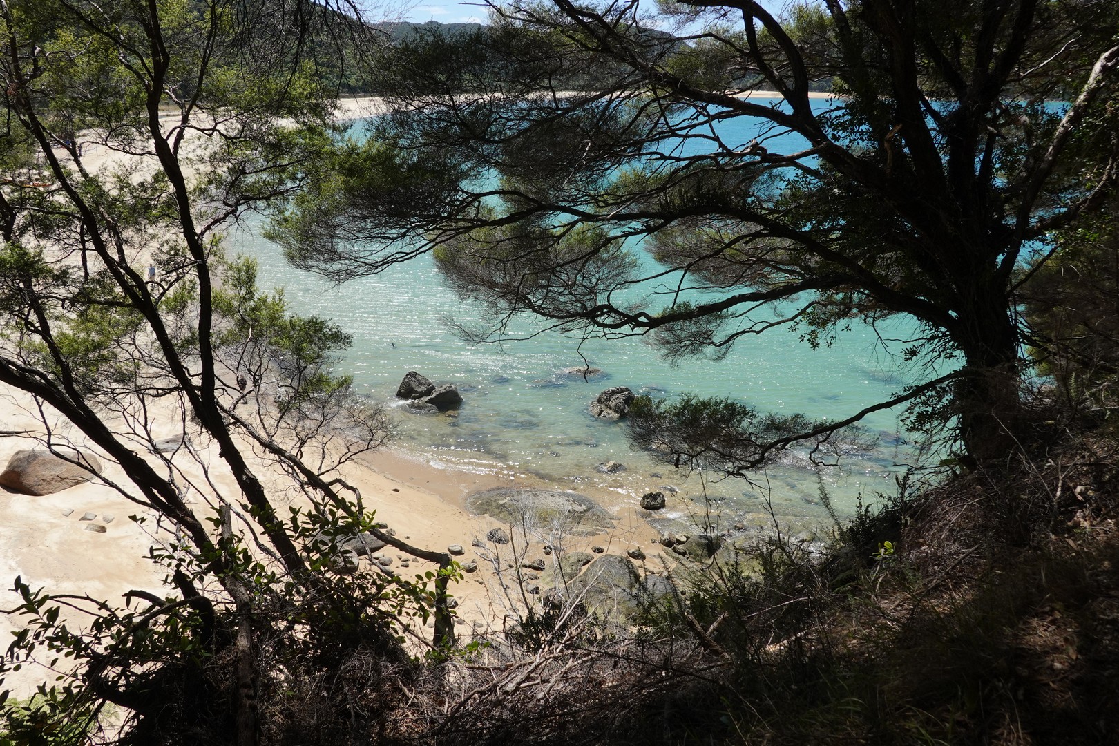 /ecran/2024_New-Zealand_0998.jpg