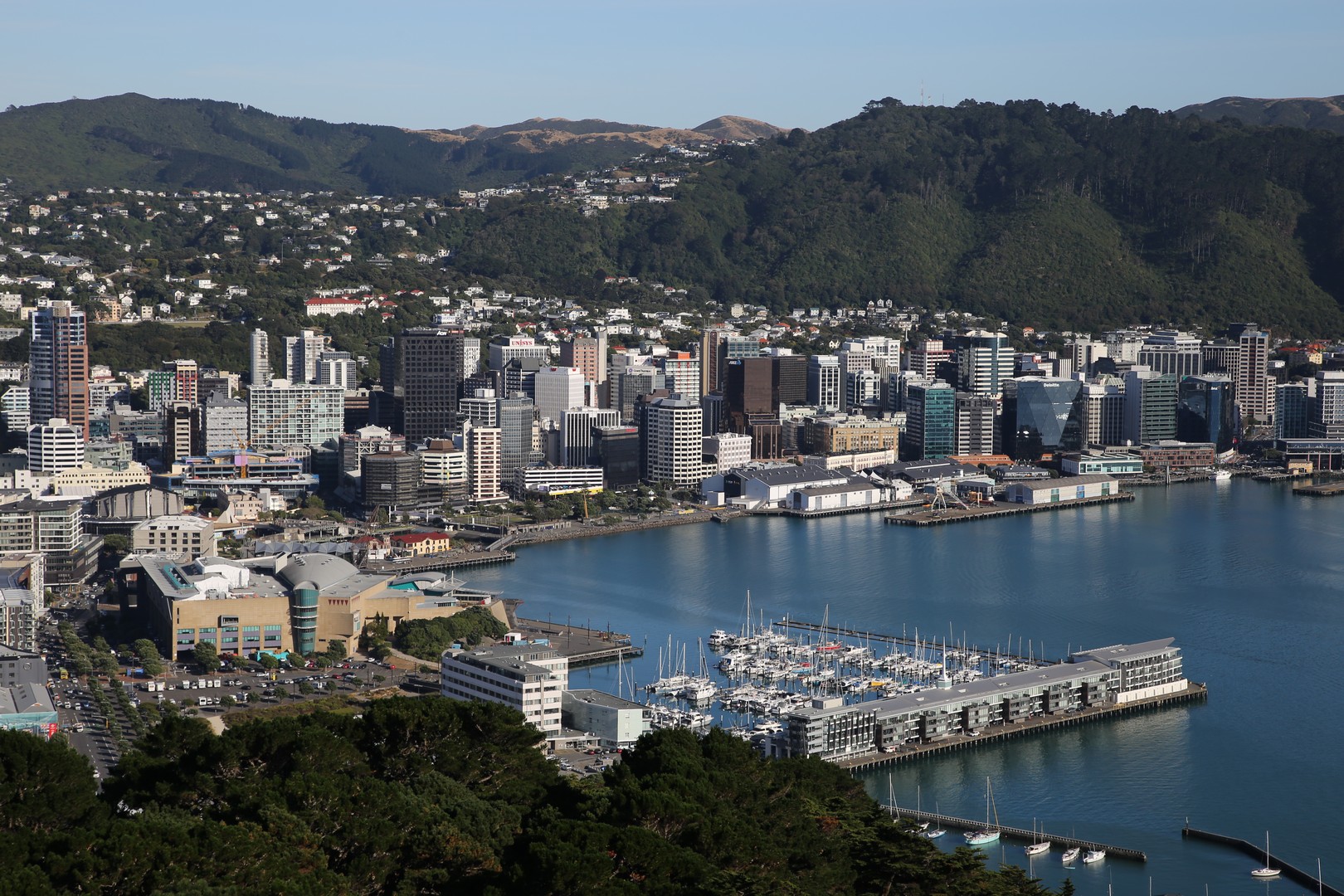 /ecran/2024_New-Zealand_1200.jpg