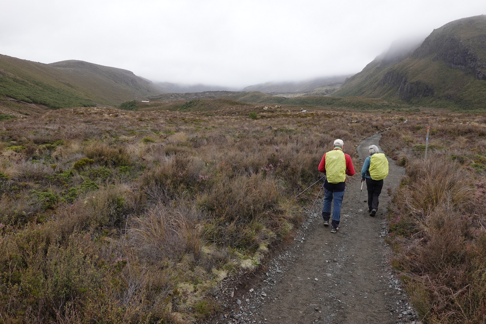 /ecran/2024_New-Zealand_1213.jpg