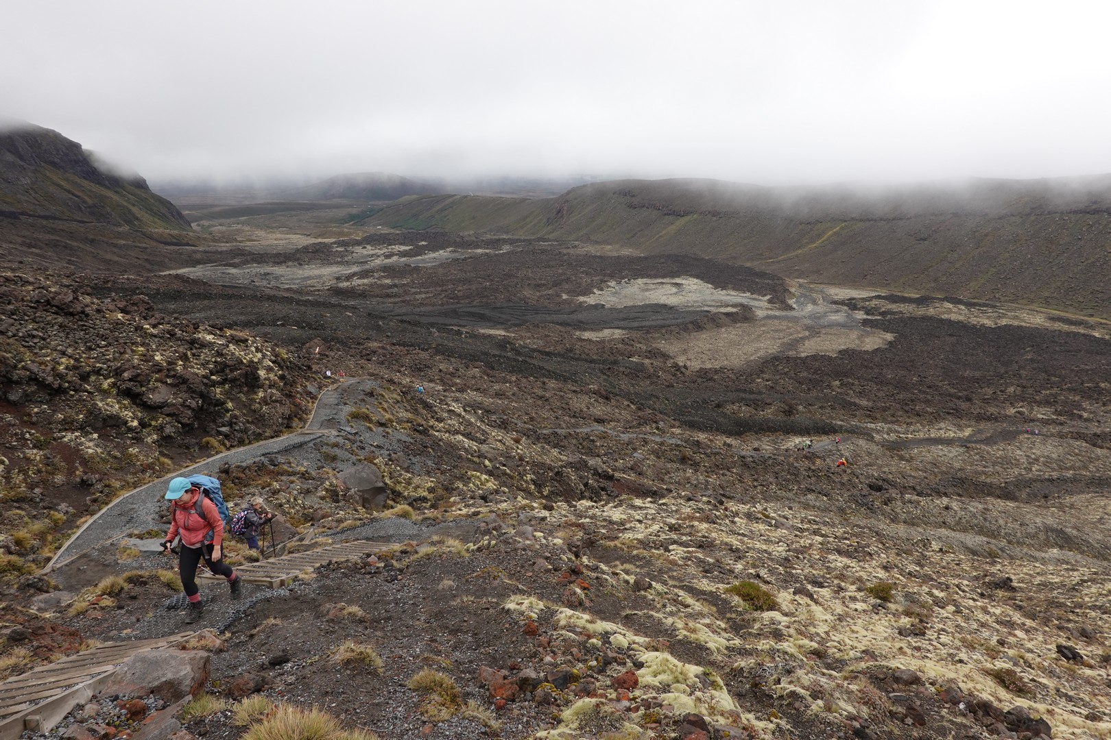 /ecran/2024_New-Zealand_1241.jpg