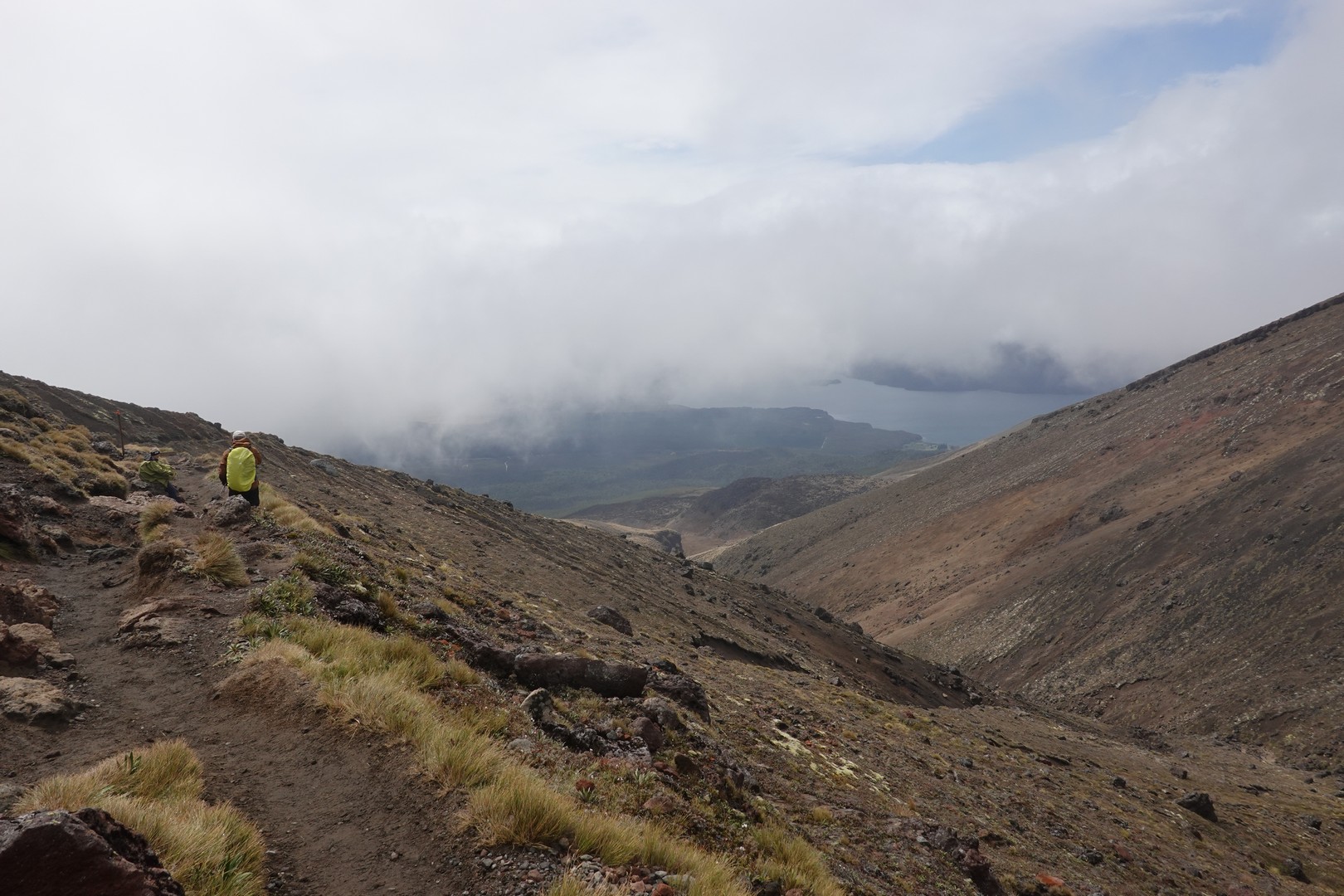 /ecran/2024_New-Zealand_1285.jpg