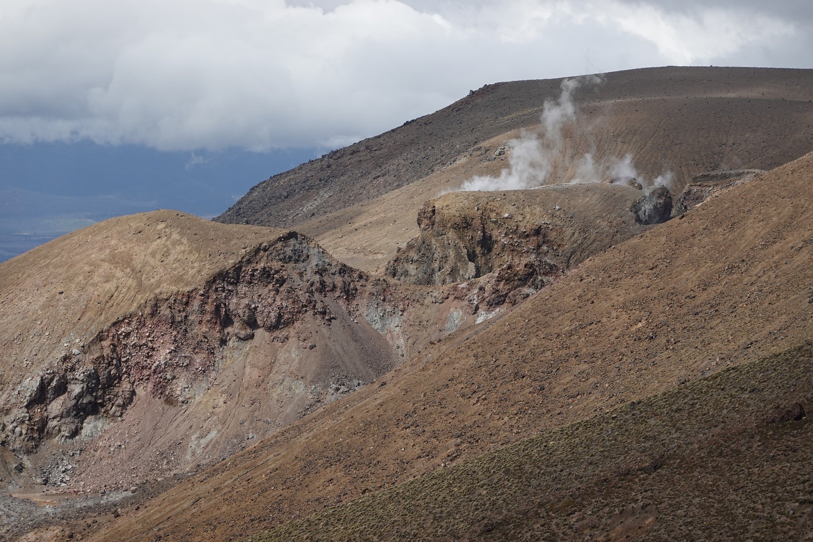 /ecran/2024_New-Zealand_1294.jpg