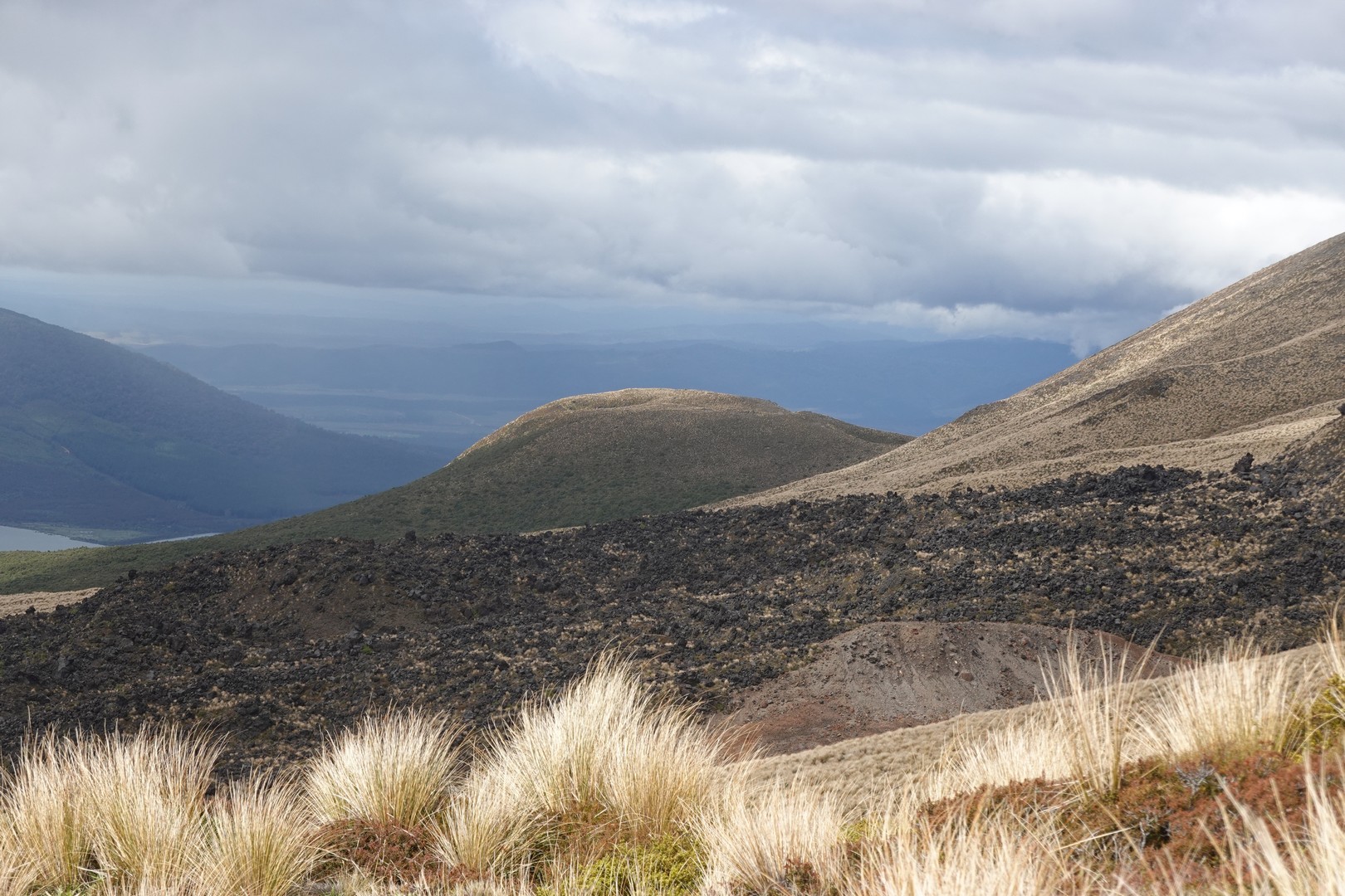 /ecran/2024_New-Zealand_1301.jpg