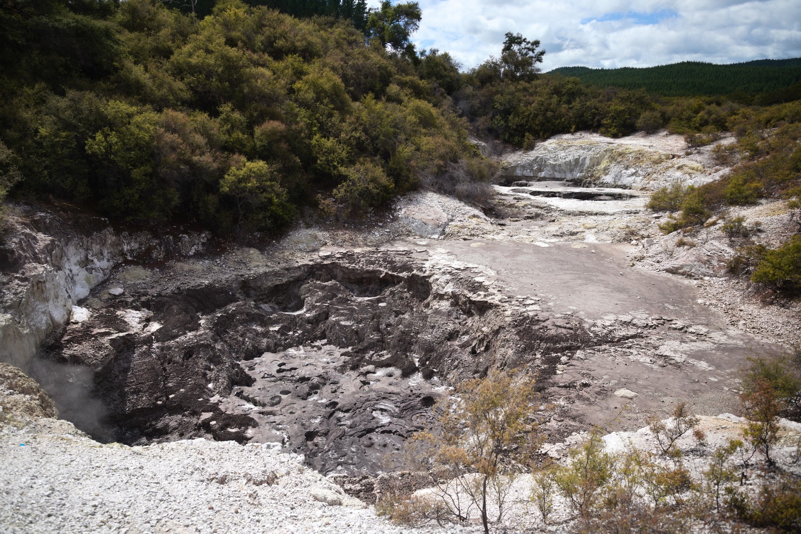 /ecran/2024_New-Zealand_1334.jpg