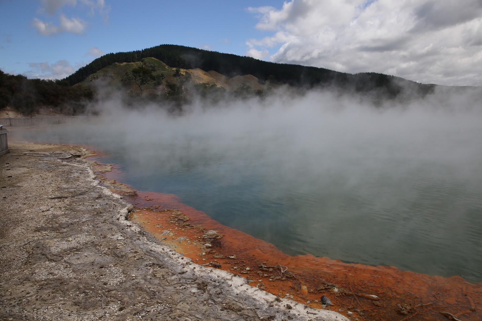 /ecran/2024_New-Zealand_1357.jpg