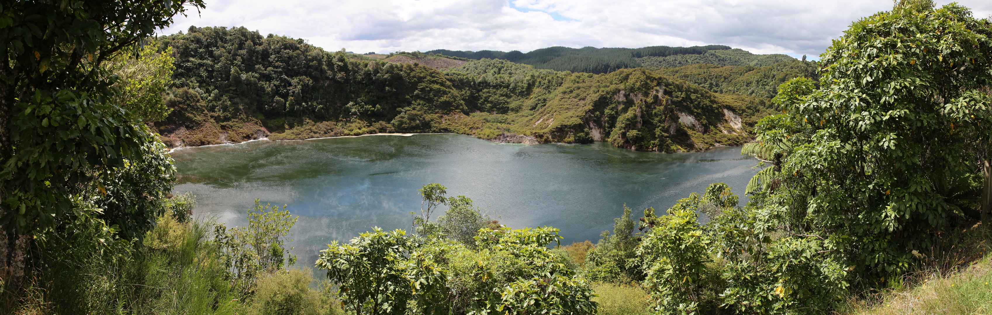 /ecran/2024_New-Zealand_1398.jpg