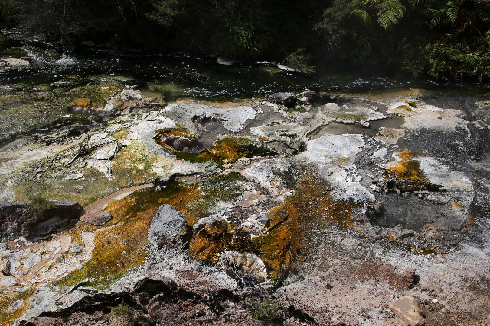 /ecran/2024_New-Zealand_1431.jpg