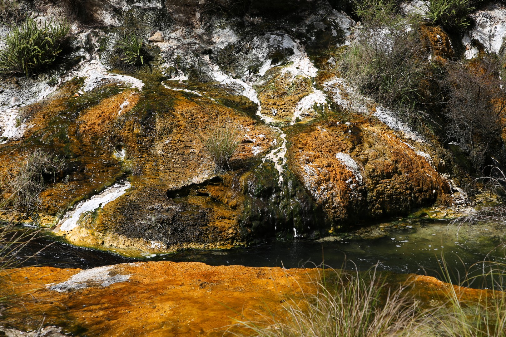 /ecran/2024_New-Zealand_1457.jpg